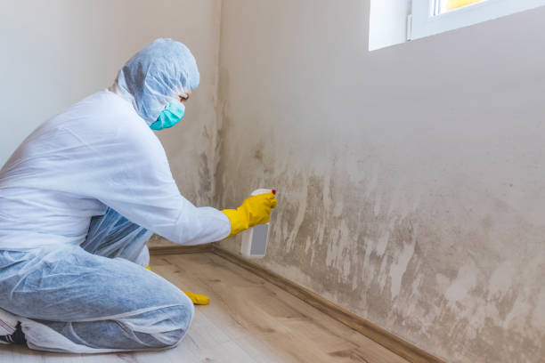 Mold Remediation specialist working in Powells Point